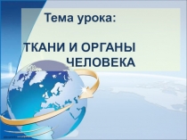 Презентация к уроку Ткани и органы