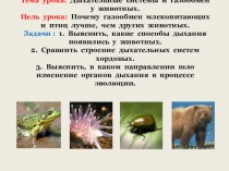 Презентация к уроку Органы дыхания и газообмен 7 кл