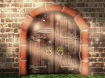 Презентация по биологии на тему Среды жизни планеты Земля (5 класс фгос)