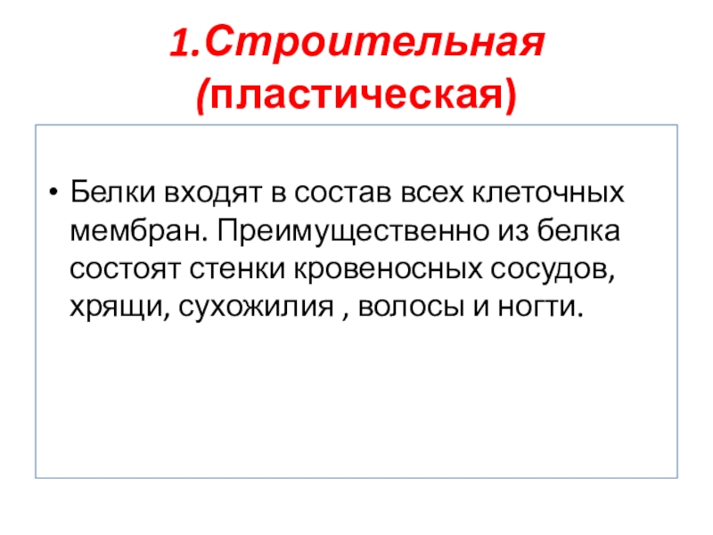 Пластические белки. Строительная, или пластическая белки. Пластический текст это.