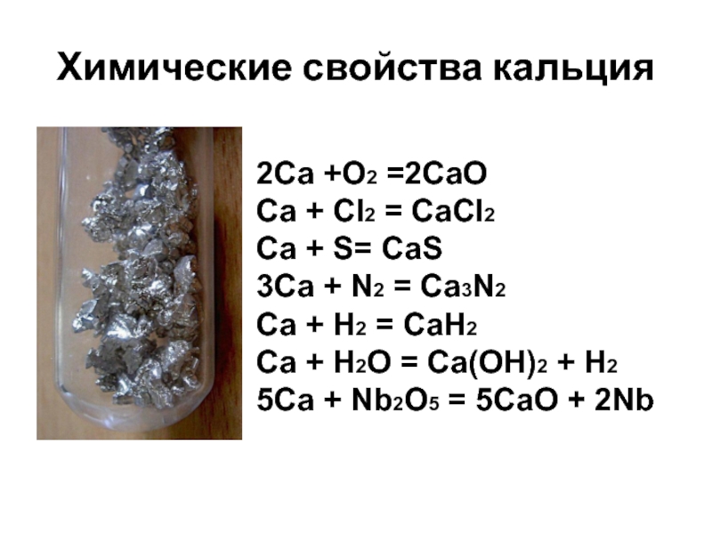 К какому классу веществ относится кальций. Характеристика химических свойств кальция. Химические свойства простого вещества кальция. Химические св-ва кальция. Химические свойства металла кальция.