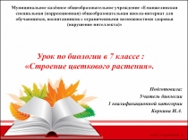 Презентация Строение цветкового растения
