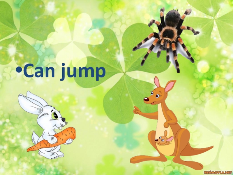 Can jump