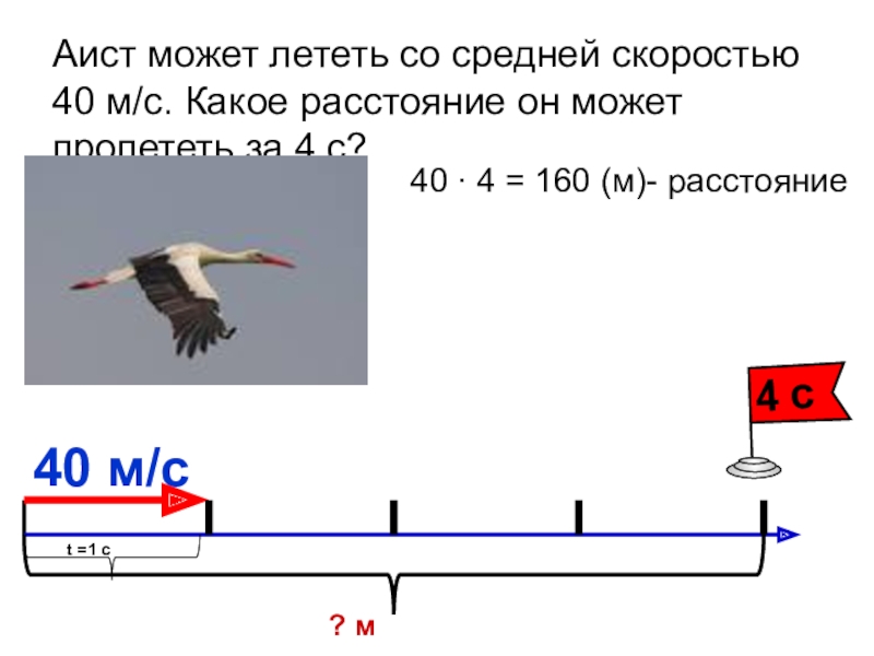 Самолет летит со скоростью 900. Аист может лететь со скоростью. Аист может летать со средней скоростью. Аист может летать со скоростью 600 м мин. Аист может лететь со скоростью 600 м/мин какое расстояние он.