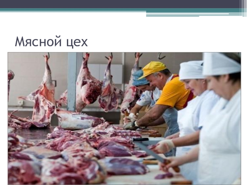 Организация мясного цеха презентация