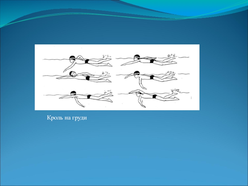 Плавание кроль на груди. Кроль на груди. Виды плавания Кроль на груди. Крол на груди общая схе ма. Плавание Кроль на груди рисунок.