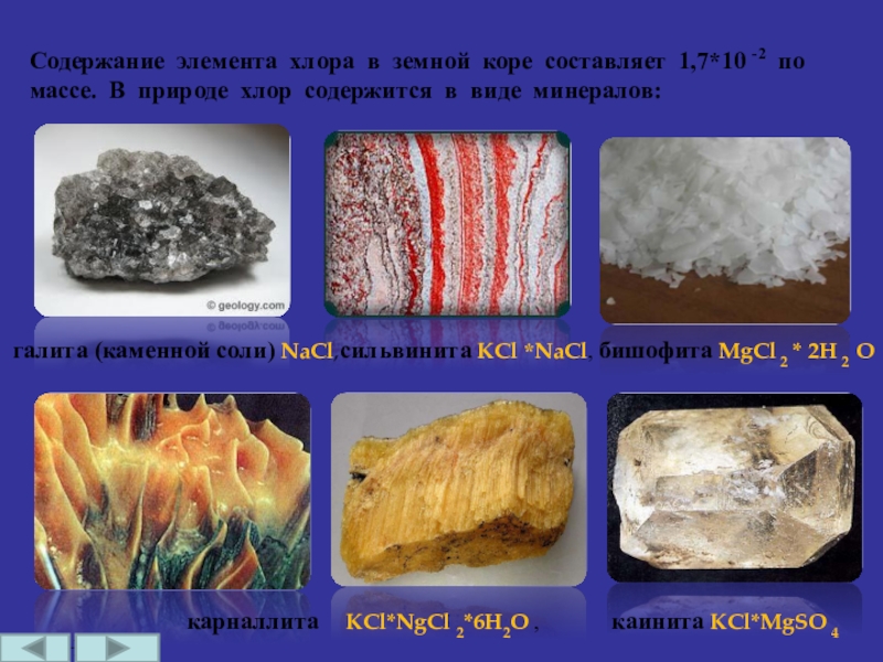 Виде каких соединений хлор встречается в природе. Галогены в природе. Соединения хлора в природе. Хлор в природе. Хлор распространенность в природе.