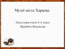 Презентація з художньої культури на тему Музеї мого міста (робота учня 9-го класу під керівництвом Заборкіної Т.В)