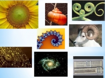 Презентация к уроку алгебры 10 класс Логарифмы