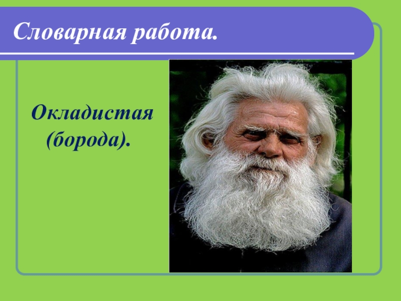 Окладистая борода что это. Окладистая борода. Сказка о потерянном времени Словарная работа. Что означает окладистая борода. Окладистая борода сказка о потерянном времени.