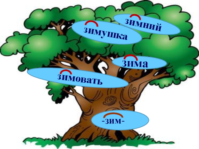 Добавить однокоренные. Дерево с однокоренными словами. Дерево однокореннхлов. Дерево с однокоренными словами зима. Группы однокоренных слов 3 кл.