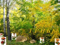 Презентация по окружающему миру на тему Грибы(2 класс)