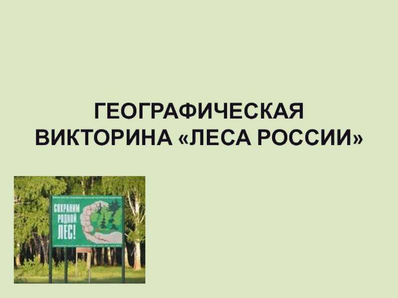 Географическая викторина «Леса России»