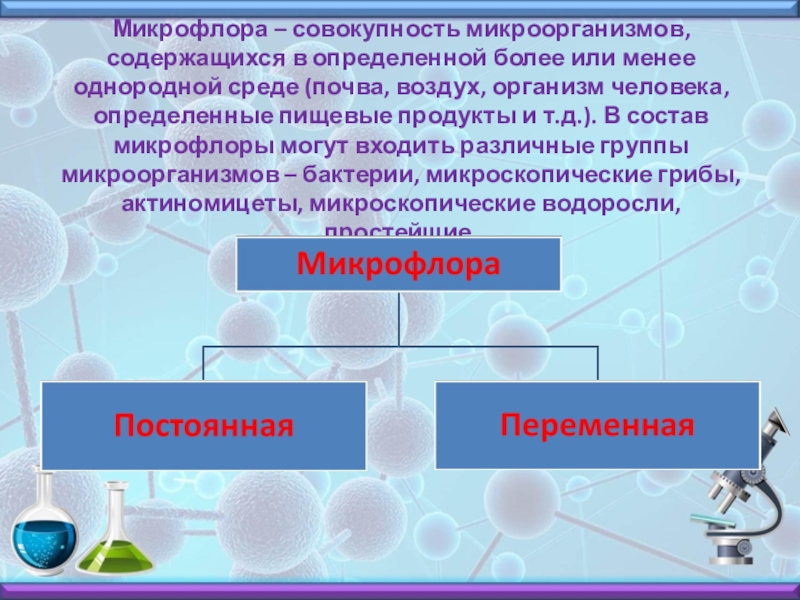 Проект микрофлора воздуха