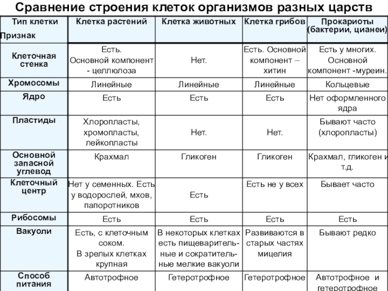 Сравните основные. Сравнение строения клеток разных Царств таблица. Сравнение клеток растений животных грибов и бактерий. Таблица различий клеток разных Царств. Сравнение строения клеток организмов разных Царств.