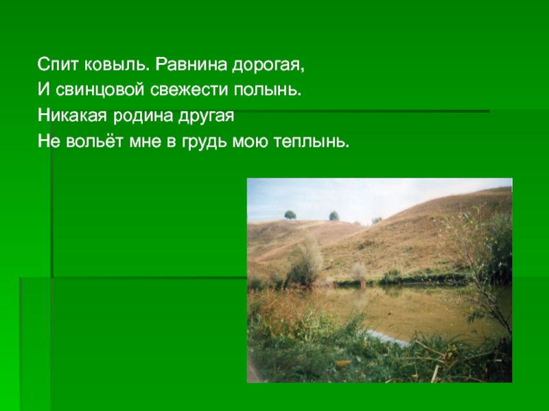 Равнина текст. Спит ковыль. Загадка про ковыль. Спит ковыль равнина дорогая. Спит ковыль равнина дорогая и свинцовой свежести Полынь.