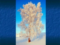 Презентация по русскому языку на тему Описание природы