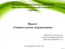 Презентация по проекту Удивительные муравьишки