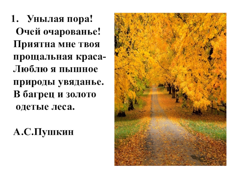 Пушкин люблю природы увяданье. Стихотворение Пушкина унылая пора. Пушкин очей очарованье стихотворение. Унылая пора очей очарованье стихотворение Пушкина текст полностью. Бунин унылая пора.