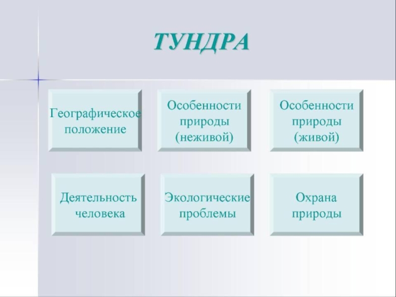 Особенности природы условия неживой природы живые существа. Условия неживой природы в тундре. Особенности неживой природы тундры. Условия неживой природы в лесотундре. Особенности природы тундры.