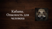 Презентация по ОБЖ на тему Кабаны (8 класс)