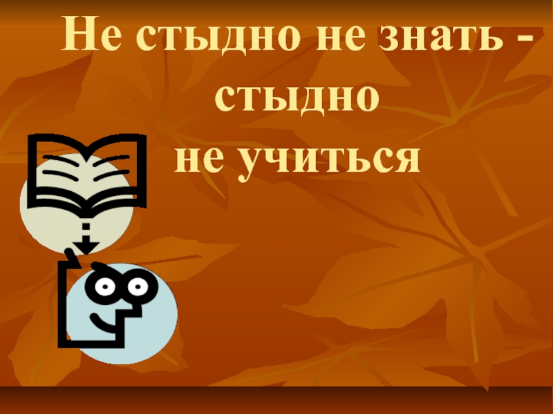 Не стыдно не знать стыдно не учиться конспект урока 4 класс родной русский язык презентация