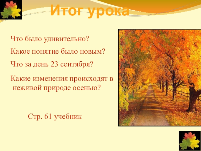 Что происходит осенью. Какие изменения происходят в природе осенью. Какие изменения осенью. Какие бывают изменение осенью. Что происходит осенью рассказ.