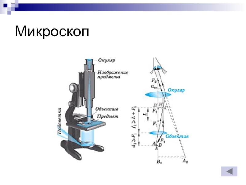 Получение изображения в микроскопе система объектив окуляр