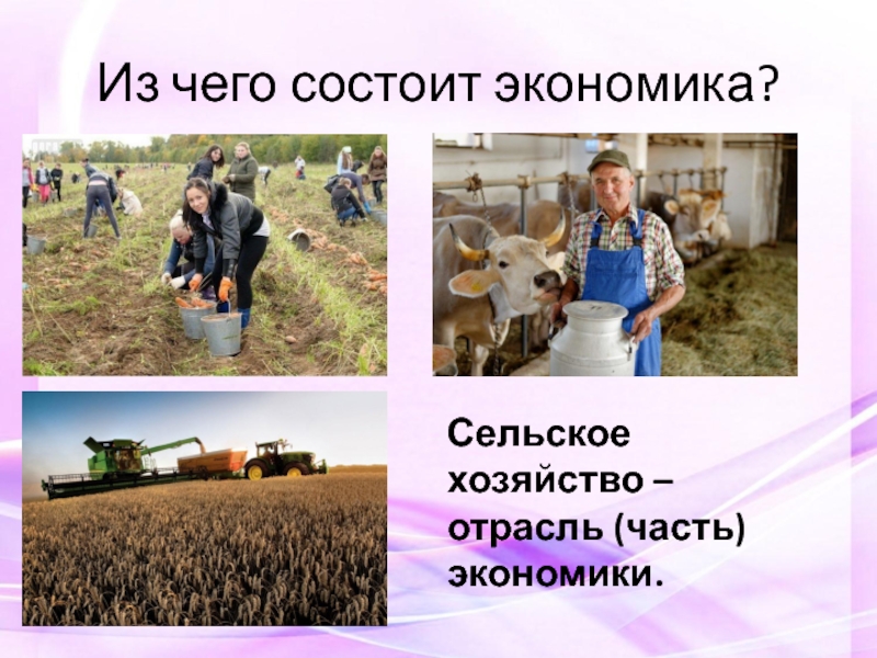 Хозяйством 2. Отрасли экономики сельское хозяйство. Сельское хозяйство экономика 2 класс. Отрасли экономики сельское хозяйство 2 класс. Экономика родного края сельское хозяйство.