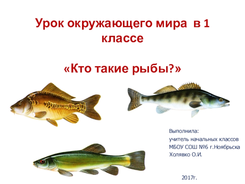 Презентация Презентация по окружающему миру на тему Кто такие рыбы? (1 класс)