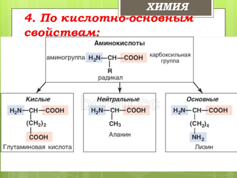 Кислотно основные реакции. Основные и кислотные аминокислоты. Кислые основные и нейтральные аминокислоты. Классификация аминокислот по кислотно основным свойствам. Кислые и основные аминокислоты.