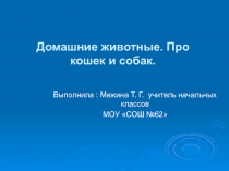 Презентация по теме Домашние животные