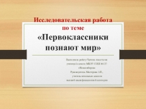 Исследовательская работа по теме Первоклассники познают мир