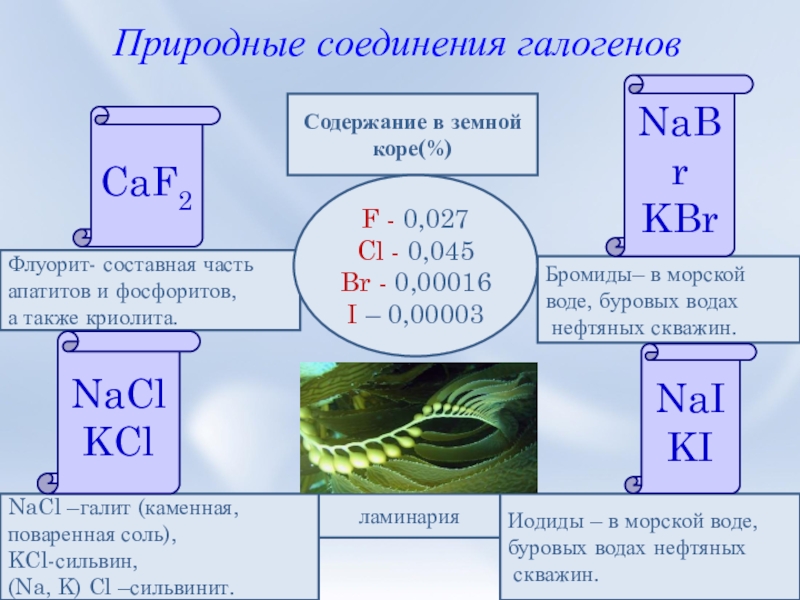 Соединение галогенов химия