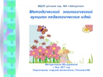 Методический экологический аукцион педагогических идей.