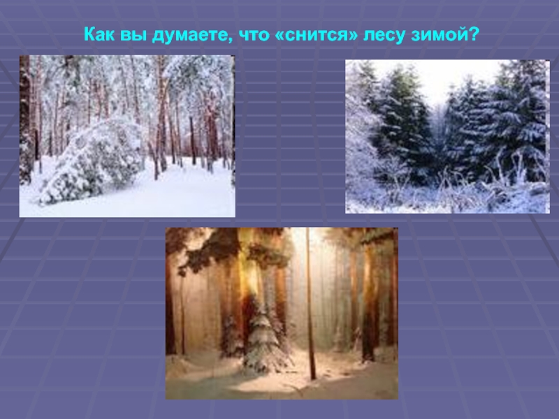 2 класс чародейкою зимой презентация. Тютчев зима Чародейкою зимою. Федор Иванович Тютчев Чародейка зима. Ф Тютчев Чародейкою зимою 2 класс. Ф.Тютчев «Чародейкою зимою…» Презентация.