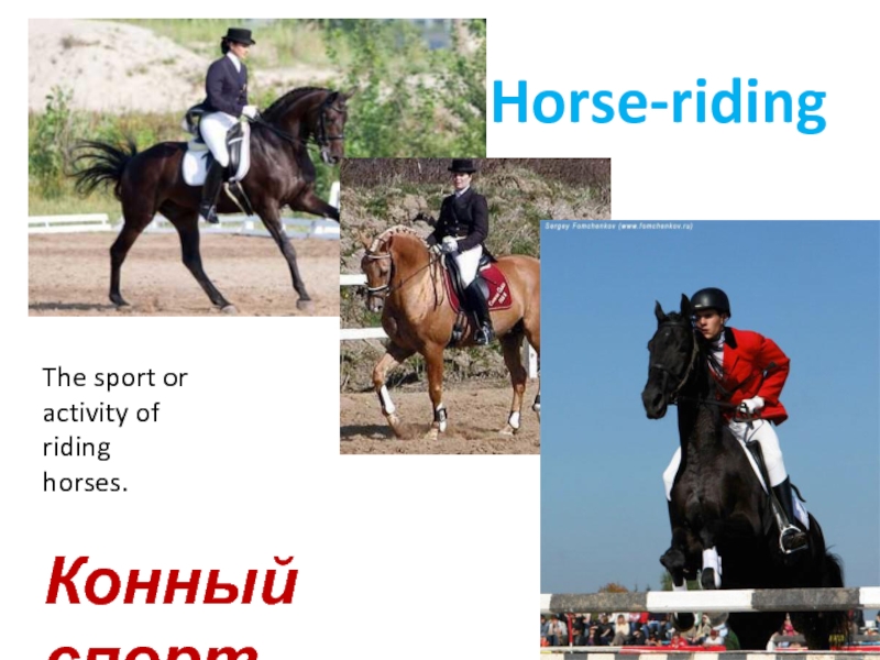 Horse-ridingКонный спортThe sport or activity of riding horses.