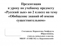 Презентация по русскому языку Обобщение знаний об имени существительном ( 2 класс)