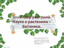 Презентация по теме Мир растений. наука о растениях - ботаника, 6 класс, биология