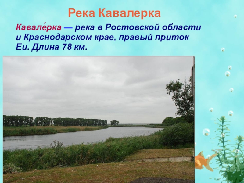 Водные ресурсы ростовской области презентация