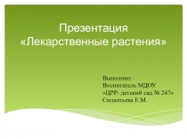 Презентация по ознакомлению с окружающим миром на тему Лекарственные растения (подготовительная группа)