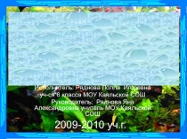 Презентация к проекту Разведение аквариумных рыбок в домашних условиях