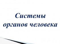 Презентация Системы органов человека