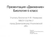 Презентация к уроку Движение 6 класс