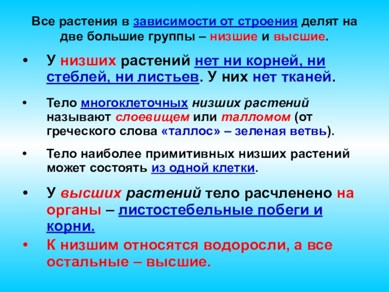 Все растения делятся на 2 группы. Группы растений высшие и низшие. В зависимости от строения растения делятся на. Все растения в зависимости от строения делят на две большие группы. Все ввшие расения делятьюся на две большие группы.