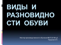 Презентация по технологии на тему Виды и разновидности обуви