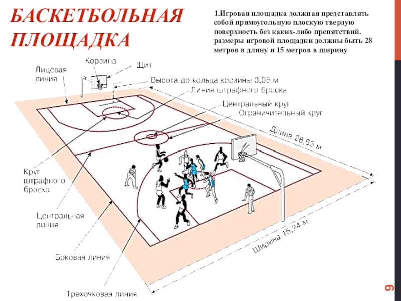 Разметка баскетбольной площадки с размерами и названиями линий схема