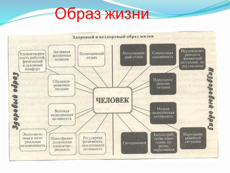 Дополните схему об основных элементах здорового образа жизни