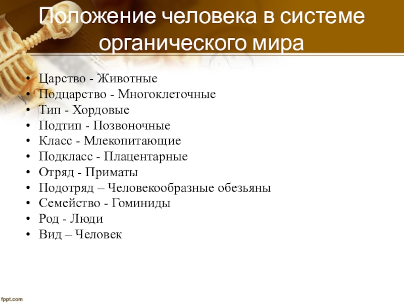 Положение человека в системе животного мира презентация 11 класс биология