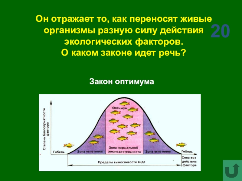 Воздействия факторов среды организмов. Законы действия экологических факторов. Действие экологических факторов. Действие факторов на организм. Схема действия экологического фактора на организм.